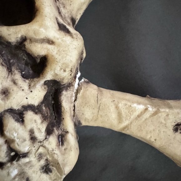 Halloween Pirate Medieval Decoration Skull with Crossbones 5 with Chains Between - Picture 5 of 7